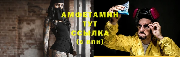 мдпв Болотное