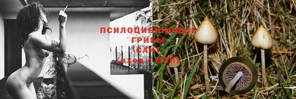 MESCALINE Дмитриев