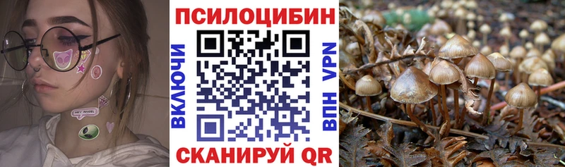 Галлюциногенные грибы прущие грибы  Ивангород 